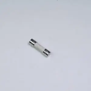 Replacement Ceramic Fuse for All-Electric Steamers, (5X20 4A)