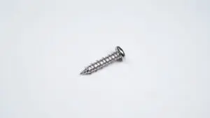 Screw M4.8x20, T/T (00-70500)