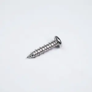 Screw M4.8x20, T/T (00-70500)