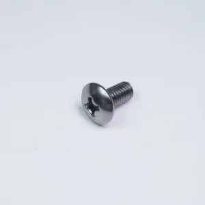 Truss Head Bolt, M6 x 12 [SUS]