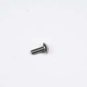Truss Head Screw, M4 x 10 [STS304]