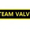 Steam Valve Sticker