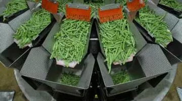 https://www.steamericas.com/wp-content/uploads/2021/07/food_processing-veggies-1-360x200.webp